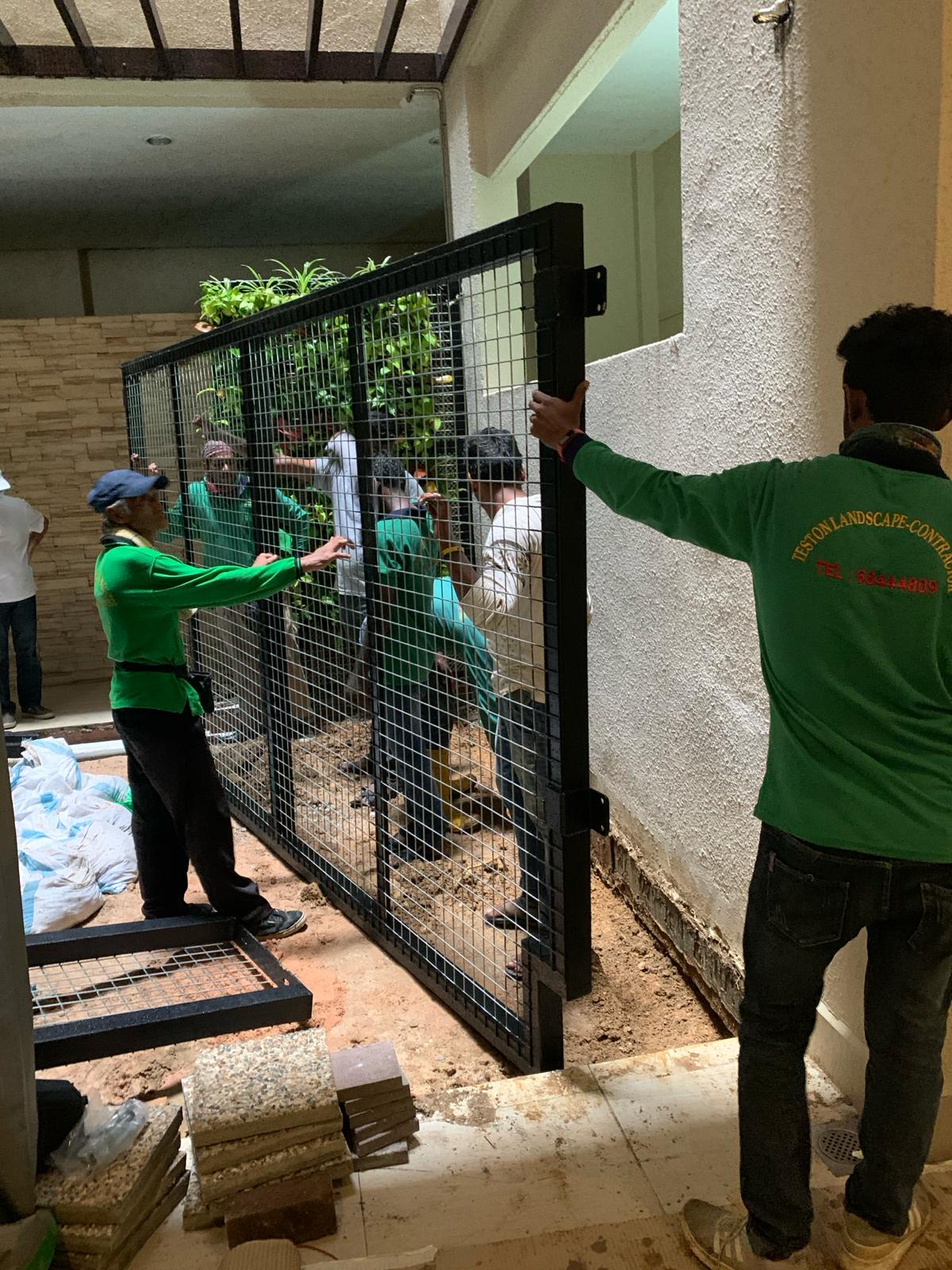 Living Wall Maintenance